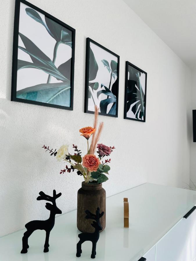 Zollernalb-Apartment Mg 阿尔伯斯塔特 外观 照片